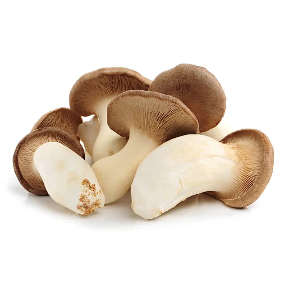 Nấm Đùi Gà Hàn Quốc - Korean King Oyster Mushroom (400g) - K-MUSH